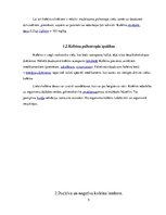 Referāts 'Kofeīns pārtikā', 5.