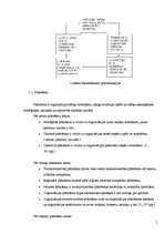 Referāts 'Menedžmenta darbība kafejnīcā "Rigensis", tās pilnveides iespējas', 5.