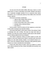 Referāts 'Biroja mikrovides veidošanas ietekmējošie faktori veiksmīgai uzņēmuma darba orga', 3.