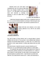 Referāts 'Biroja mikrovides veidošanas ietekmējošie faktori veiksmīgai uzņēmuma darba orga', 7.