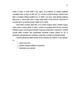 Referāts 'Biroja mikrovides veidošanas ietekmējošie faktori veiksmīgai uzņēmuma darba orga', 17.