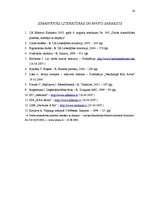 Referāts 'Biroja mikrovides veidošanas ietekmējošie faktori veiksmīgai uzņēmuma darba orga', 24.