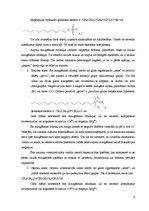 Referāts 'Ziepes un sintētiskie mazgāšanas līdzekļi', 6.