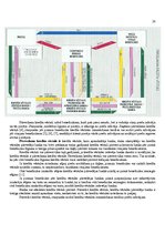 Konspekts 'Ekonomisko sakaru vadīšana', 26.