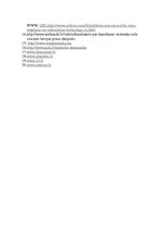 Referāts 'Ķīna un tās attīstības aktuālitātes', 25.