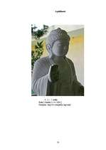 Referāts 'Atziņu bagātība un biežāk sastopamie motīvi haiku dzejā', 33.