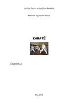 Referāts 'Karate', 1.