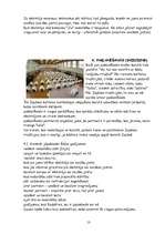 Referāts 'Karate', 13.