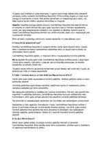 Konspekts 'Centrālāfrikas Republikas pilsoņu karš', 3.