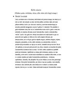 Eseja 'Izjūtu ainava', 1.