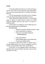 Referāts 'Līzinga iespējas komercbankās un līzinga kompānijās', 3.