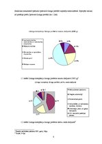 Referāts 'Līzinga iespējas komercbankās un līzinga kompānijās', 6.