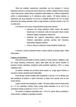 Referāts 'Līzinga iespējas komercbankās un līzinga kompānijās', 15.