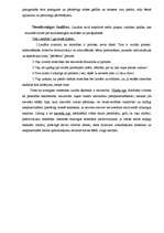 Konspekts 'Ģimene', 8.