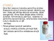 Prezentācija 'Penicilīns', 13.