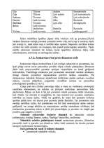 Referāts 'Māsas un pacienta mijiedarbība stacionāra apstākļos', 19.