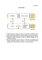 Referāts 'Māsas un pacienta mijiedarbība stacionāra apstākļos', 54.