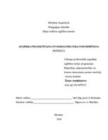 Referāts 'Apģērba projektēšana un mākslinieciska noformēšana', 1.