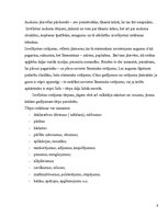 Referāts 'Apģērba projektēšana un mākslinieciska noformēšana', 6.
