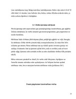 Referāts 'Apģērba projektēšana un mākslinieciska noformēšana', 16.