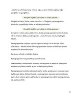 Referāts 'Apģērba projektēšana un mākslinieciska noformēšana', 21.