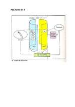 Referāts 'Vācu filosofs Imanuels Kants', 20.