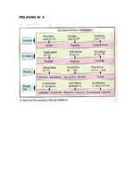 Referāts 'Vācu filosofs Imanuels Kants', 21.