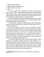 Referāts 'MVU finansēšanas iespējas', 7.