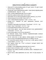 Referāts 'MVU finansēšanas iespējas', 29.