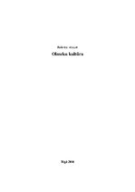 Referāts 'Olmeku kultūra', 1.