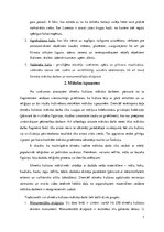 Referāts 'Olmeku kultūra', 7.