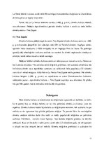 Referāts 'Olmeku kultūra', 11.