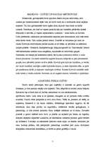 Prakses atskaite 'Iestāžu darba organizācija un vadība', 7.