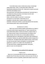 Prakses atskaite 'Iestāžu darba organizācija un vadība', 13.