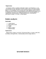 Prakses atskaite 'Dārzeņi', 4.