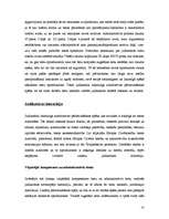 Referāts 'Judikatūra', 10.