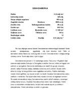 Referāts 'Dienvidamerika', 1.