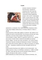 Referāts 'Dienvidamerika', 2.