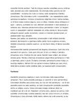 Referāts 'Dienvidamerika', 3.