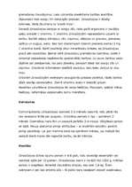 Referāts 'Dienvidamerika', 5.