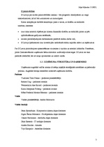 Referāts 'AAS "If Latvija"', 3.