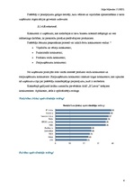 Referāts 'AAS "If Latvija"', 6.