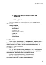 Referāts 'AAS "If Latvija"', 9.