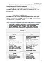 Referāts 'AAS "If Latvija"', 11.