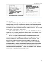 Referāts 'AAS "If Latvija"', 12.