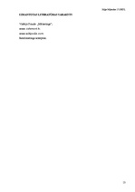 Referāts 'AAS "If Latvija"', 13.