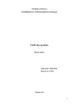 Konspekts 'CASE rīka apraksts, salīdzinājums', 1.