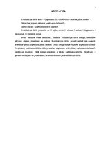 Diplomdarbs 'Разработка плана для развития предприятия "X"', 3.