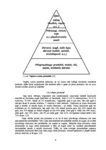 Referāts 'Vegānisms kā uztura veids', 9.