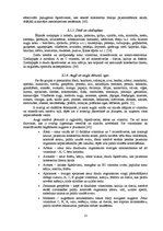 Referāts 'Vegānisms kā uztura veids', 13.